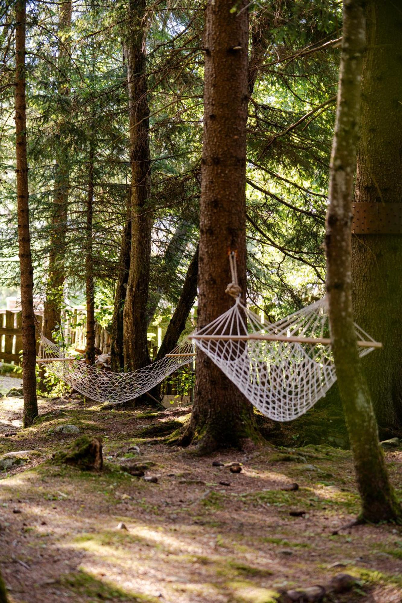 La Tana Dell'Orso Hotel & Spa Ponte Di Legno Ngoại thất bức ảnh